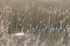 _7810719.jpg _7810719.jpg