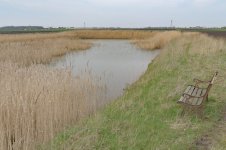 _7810716.jpg _7810716.jpg