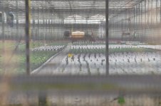 _7810715.jpg _7810715.jpg