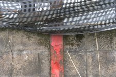 _7810730.jpg _7810730.jpg