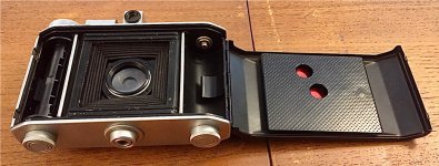 IMG_7461.jpeg IMG_7461.jpeg