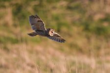 edit 900.jpg edit 900.jpg