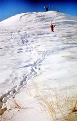 1681151464232.jpeg 1681151464232.jpeg