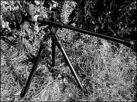 Benbo Tripod in use HX90 DSC00704.JPG