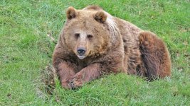 129A0233.jpg 129A0233.jpg