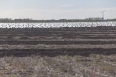 _7810859.jpg _7810859.jpg