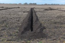 _7810857.jpg _7810857.jpg