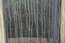 _7810838.jpg _7810838.jpg