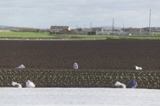 _7810837.jpg _7810837.jpg