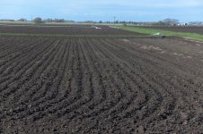 _7810823.jpg _7810823.jpg