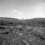 IMG_7521.jpeg IMG_7521.jpeg