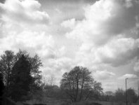 P1000239.jpg P1000239.jpg