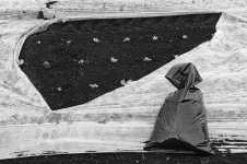 _7810887.jpg _7810887.jpg