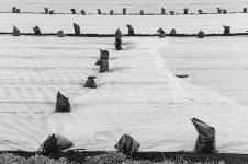 _7810889.jpg _7810889.jpg