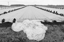 _7810894.jpg _7810894.jpg