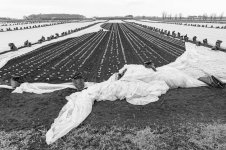 _7810897.jpg _7810897.jpg