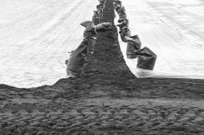 _7810904.jpg _7810904.jpg