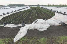 _7810897.jpg _7810897.jpg