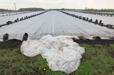 _7810894.jpg _7810894.jpg