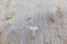 _7810892.jpg _7810892.jpg