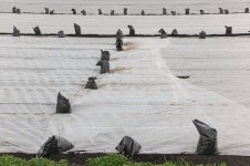 _7810889.jpg _7810889.jpg