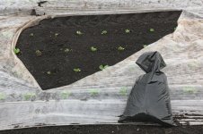 _7810887.jpg _7810887.jpg