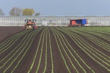 _7810919.jpg _7810919.jpg