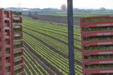 _7810931.jpg _7810931.jpg