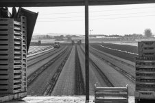 _7810926-2.jpg _7810926-2.jpg