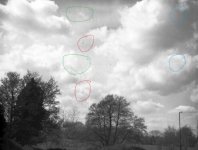 P1000239copy.jpg P1000239copy.jpg