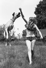 CB69E12_Adj Great Dame.jpg