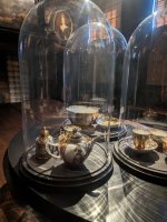 PXL_20230418_102219042.NIGHT (Medium).jpg