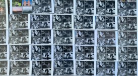 IMG_2286.jpg IMG_2286.jpg