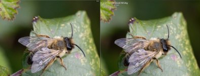 Screenshot 2023-04-24 133930.jpg Screenshot 2023-04-24 133930.jpg