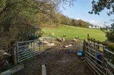 001 Rural M9 01-1004396 PS Adj.JPG