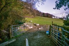 001 Rural Portra 01-053720010016 PS Adj.JPG