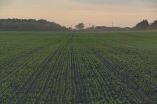 _7811020.jpg _7811020.jpg