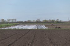 _7822940.jpg _7822940.jpg