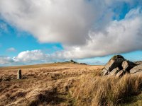 016 Gt Links Tor 02-0344 PS Adj.JPG