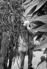 2021-05-10-0008-copy-tp-v2.jpg 2021-05-10-0008-copy-tp-v2.jpg