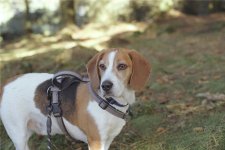 IMG_7562.jpeg IMG_7562.jpeg