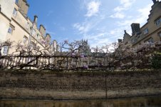 20230429 - Cambridge - 001.jpg