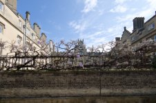 20230429 - Cambridge - 001.jpg