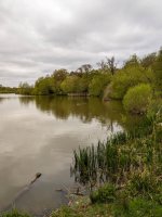 Week 17 - liquid.jpg