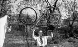 1683285364456.jpeg 1683285364456.jpeg