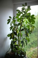 WhatsApp Image 2023-05-05 at 14.40.31.jpeg WhatsApp Image 2023-05-05 at 14.40.31.jpeg