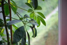 WhatsApp Image 2023-05-05 at 14.40.31 (1).jpeg WhatsApp Image 2023-05-05 at 14.40.31 (1).jpeg