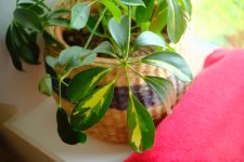 WhatsApp Image 2023-05-05 at 14.40.31 (2).jpeg WhatsApp Image 2023-05-05 at 14.40.31 (2).jpeg