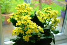 WhatsApp Image 2023-05-05 at 14.40.31 (3).jpeg WhatsApp Image 2023-05-05 at 14.40.31 (3).jpeg