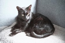 WhatsApp Image 2023-05-05 at 14.40.31 (5).jpeg WhatsApp Image 2023-05-05 at 14.40.31 (5).jpeg